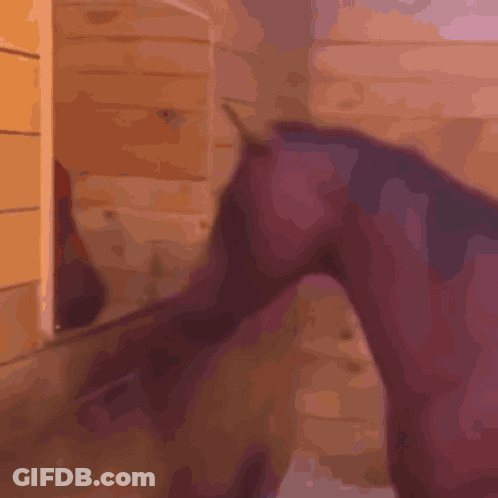A Close Up Of A Mammoth 'S Tusks On A Blue Background GIF