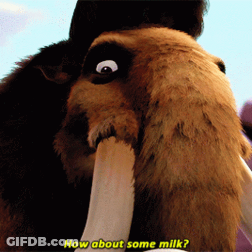 A Close Up Of A Mammoth With The Words How About Some Milk GIF