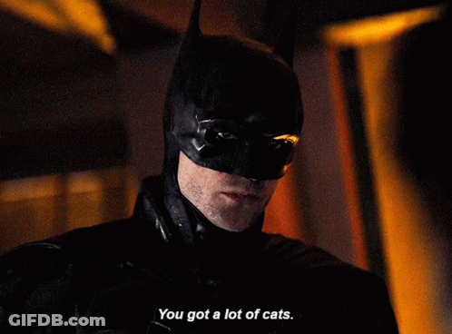 A Close Up Of A Man In A Batman Costume Saying " You Got A Lot Of Cats " GIF