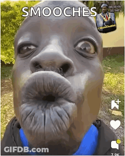 A Close Up Of A Man Making A Funny Face With Smooches Written On The Bottom GIF
