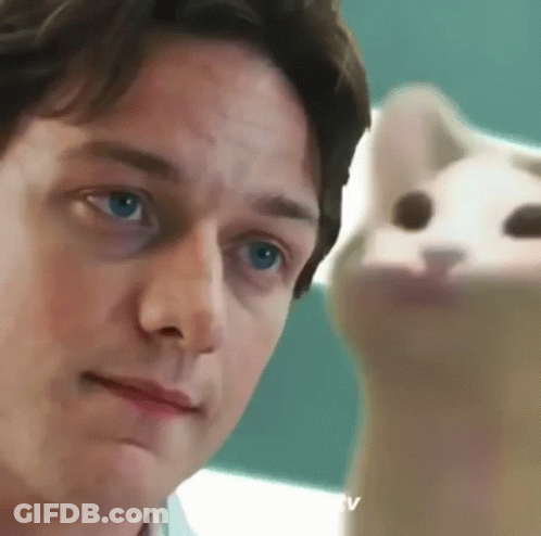 A Close Up Of A Man 'S Face Next To A Cat GIF