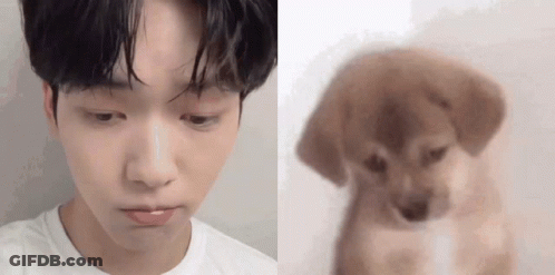 A Close Up Of A Man 'S Face Next To A Close Up Of A Dog GIF