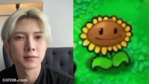 A Close Up Of A Man 'S Face Next To A Picture Of A Sunflower From Plants Vs Zombies . GIF