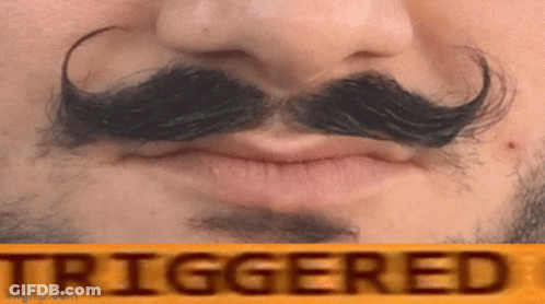 A Close Up Of A Man 'S Face With A Fake Mustache And The Word Triggered On The Bottom GIF