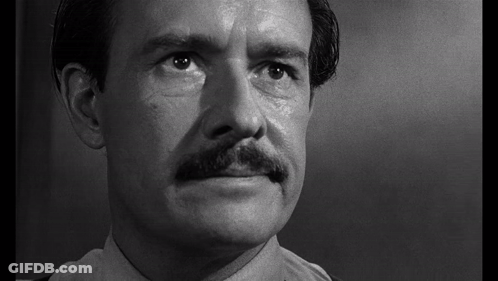 A Close Up Of A Man 'S Face With A Mustache In A Black And White Photo . GIF
