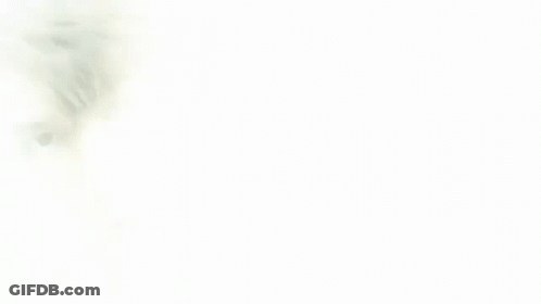 A Close Up Of A Man 'S Face With A White Shirt On . GIF