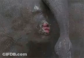 A Close Up Of A Man 'S Face With His Mouth Open And His Tongue Out . GIF