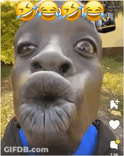 A Close Up Of A Man 'S Face With Smiley Faces On His Forehead GIF