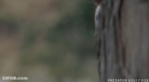 A Close Up Of A Man 'S Face With The Word Predator On The Bottom GIF