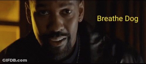 A Close Up Of A Man 'S Face With The Words Breathe Dog Below It GIF