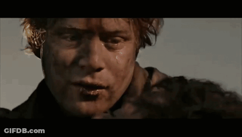 A Close Up Of A Man 'S Face With The Words " Do You Remember The Shire Mr. Frodo " Below Him GIF