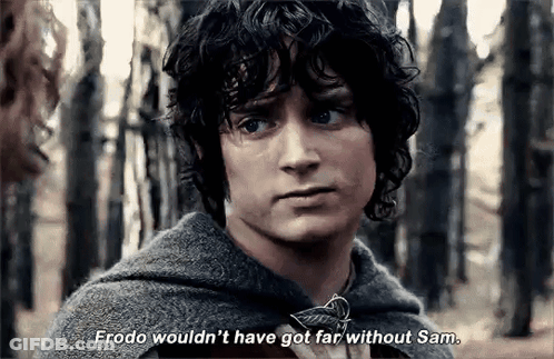A Close Up Of A Man 'S Face With The Words `` Frodo Wouldn 'T Have Got Far Without Sam '' GIF