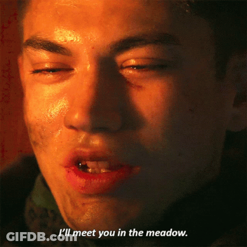 A Close Up Of A Man 'S Face With The Words " I 'Ll Meet You In The Meadow " Below It GIF