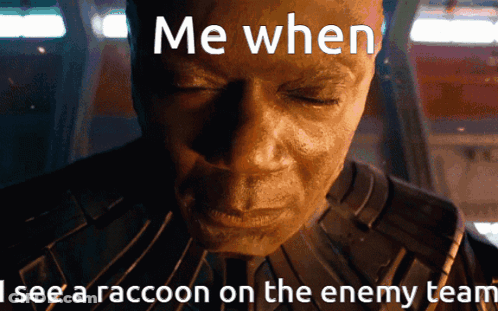 A Close Up Of A Man 'S Face With The Words Me When I See A Raccoon On The Enemy Team Below It GIF