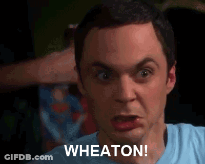 A Close Up Of A Man 'S Face With The Words Wheaton Written On It GIF