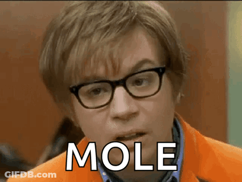 A Close Up Of A Man Wearing Glasses And An Orange Jacket That Says Mole GIF