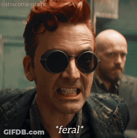 A Close Up Of A Man Wearing Sunglasses With Feral Written Below Him GIF