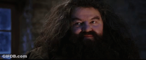 A Close Up Of A Man With A Beard And Long Hair . GIF