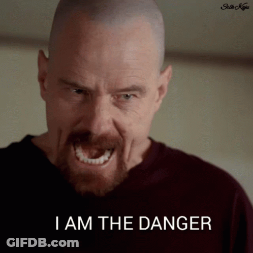 A Close Up Of A Man With A Beard And The Words I Am The Danger GIF