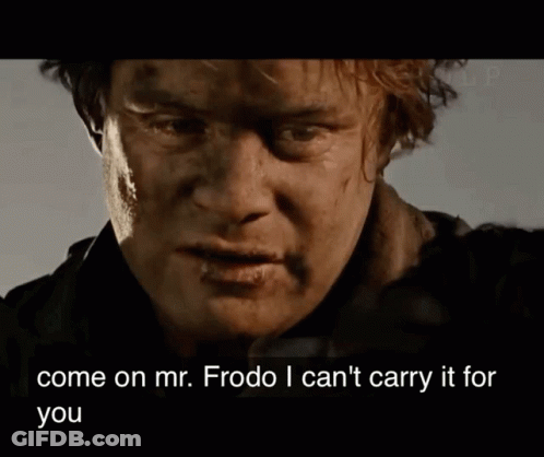 A Close Up Of A Man With The Words Come On Mr. Frodo I Can 'T Carry It For You Below Him GIF