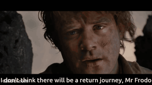 A Close Up Of A Man With The Words " I Don T Think There Will Be A Return Journey Mr Frodo " Below Him GIF