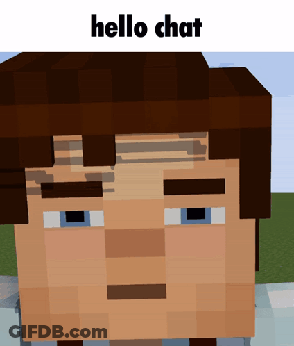 A Close Up Of A Minecraft Character With The Words Hello Chat Above It GIF