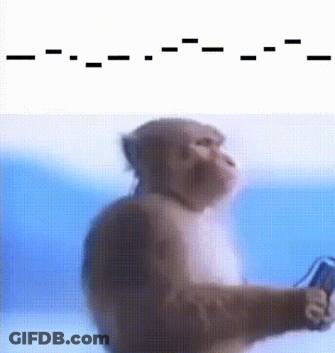 A Close Up Of A Monkey Holding A Cell Phone In Front Of A Blue Background GIF