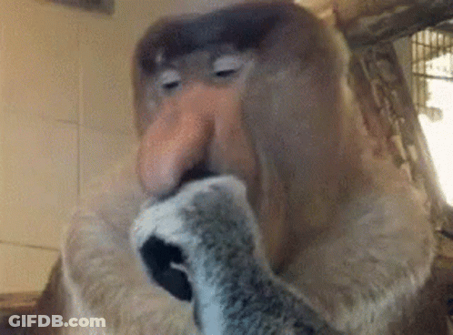A Close Up Of A Monkey Licking A Cat 'S Paw GIF
