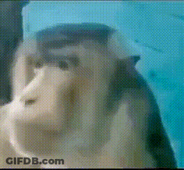 A Close Up Of A Monkey 'S Face In A Pixelated Image . GIF
