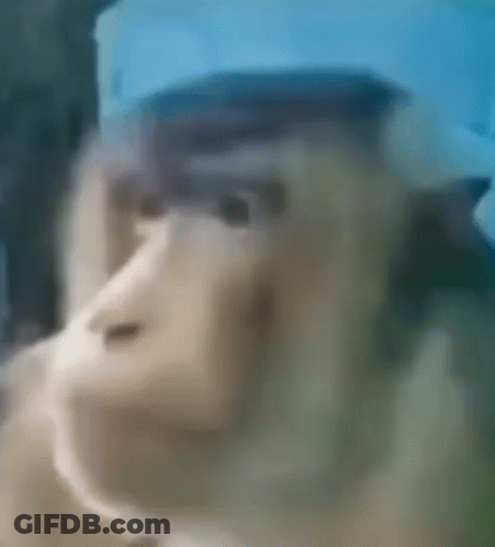A Close Up Of A Monkey 'S Face With A Blue Background . GIF