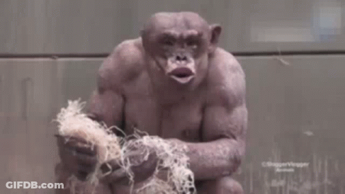 A Close Up Of A Monkey 'S Face With Its Mouth Open And Muscles . GIF