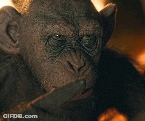A Close Up Of A Monkey 'S Face With The Words Bad Ape Above It GIF