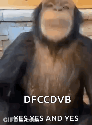 A Close Up Of A Monkey 'S Face With The Words Yes Yes And Yes Written On It . GIF