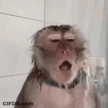 A Close Up Of A Monkey Taking A Shower With Its Mouth Open . GIF