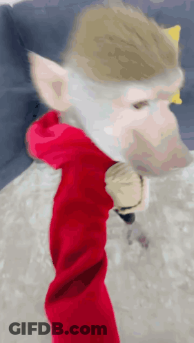A Close Up Of A Monkey Wearing A Red Hoodie And A Beard . GIF