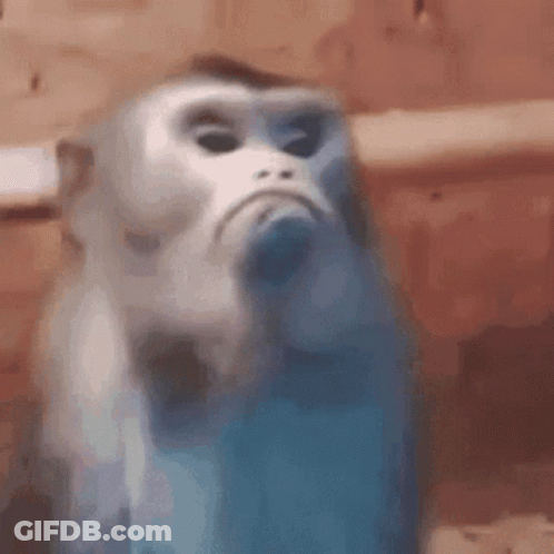 A Close Up Of A Monkey With A Sad Face . GIF