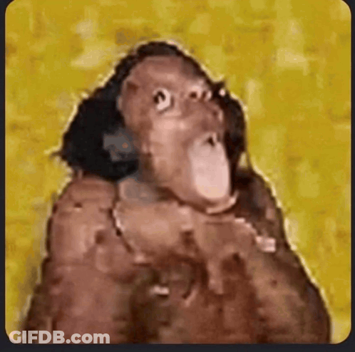 A Close Up Of A Monkey With A Yellow Background . GIF
