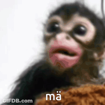 A Close Up Of A Monkey With The Word Ma On It 'S Face . GIF