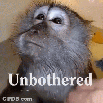 A Close Up Of A Monkey With The Words Unbothered Written On It . GIF