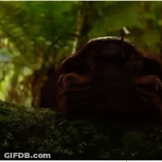 A Close Up Of A Mushroom With A Green Background GIF
