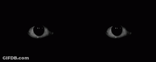 A Close Up Of A Pair Of Eyes In The Dark . GIF