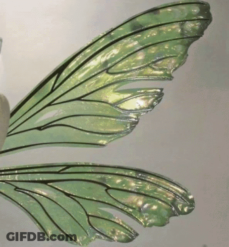 A Close Up Of A Pair Of Green Fairy Wings . GIF