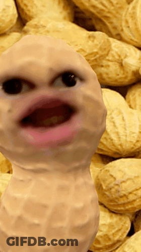 Close Up Of Peanut With Face GIF