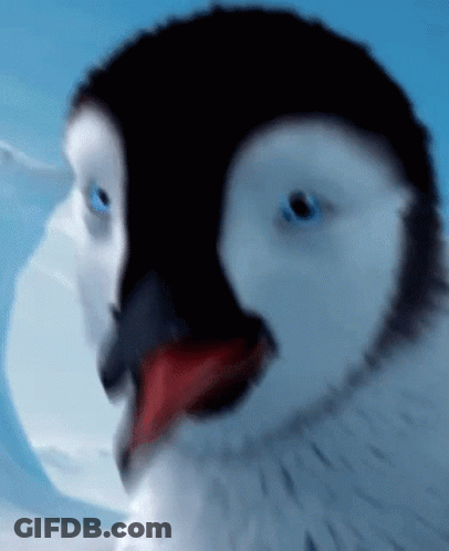 A Close Up Of A Penguin 'S Face With Its Tongue Out GIF