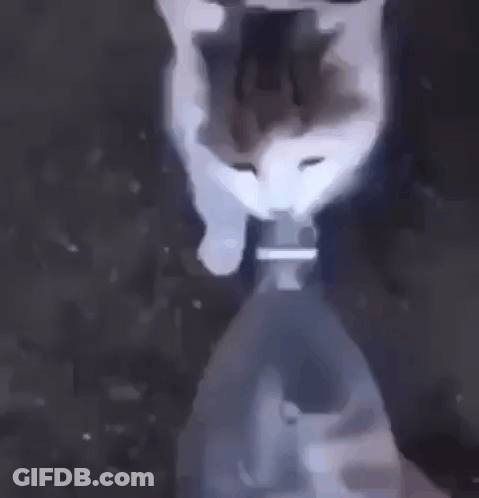 A Close Up Of A Person Holding A Bottle Of Water . GIF