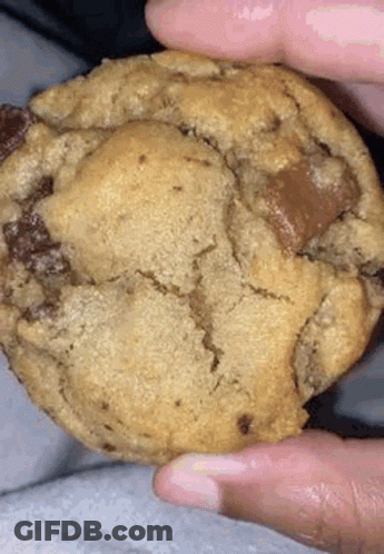 A Close Up Of A Person Holding A Chocolate Chip Cookie In Their Hands . GIF