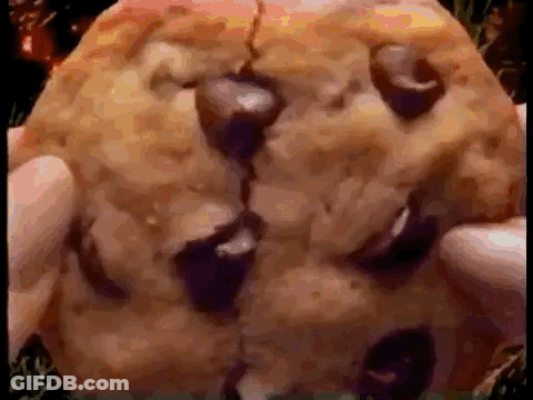 A Close Up Of A Person Holding A Chocolate Chip Cookie In Their Hands GIF