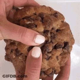 A Close Up Of A Person Holding A Chocolate Chip Cookie With Their Fingers . GIF