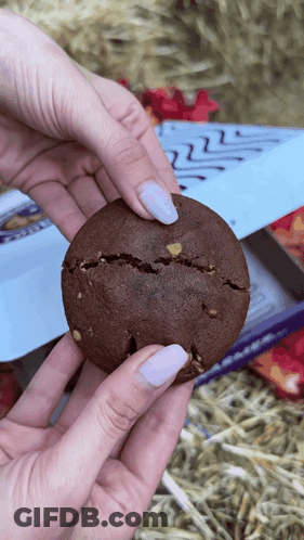 A Close Up Of A Person Holding A Chocolate Cookie With A Crack In It GIF