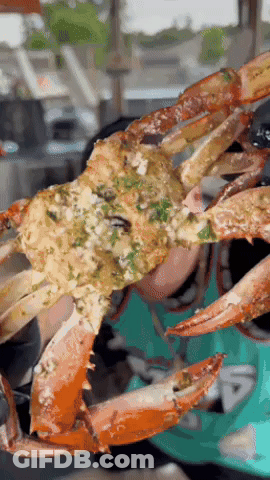 A Close Up Of A Person Holding A Crab In Their Hands GIF